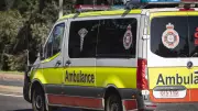 Townsville Horror: Man Fights for Life After Terrifying Collision with Cow on North Queensland Road
