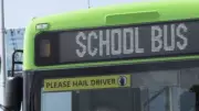 Townsville School Bus Incident: Official Report Clears Students of Blame