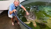 Turtle Time in Far North Queensland: How Volunteers Are Saving Our Sea Turtles