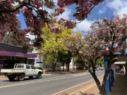 WA's Regional Housing Crisis: The Hidden Barrier to Affordable Country Living