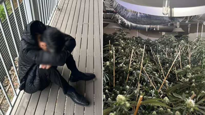 83 Cannabis Plants Found in NSW Hydroponic House Raid