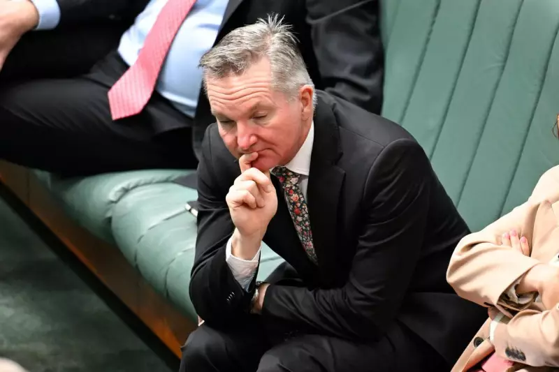 Albanese's Bowen Gamble: A Political Misjudgement Worse Than The Voice?