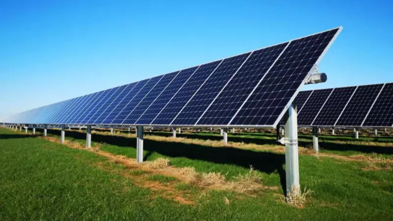 Bunnings Goes Big on Solar: Aussie Hardware Giant's Power Play Sparks Major Business Shift