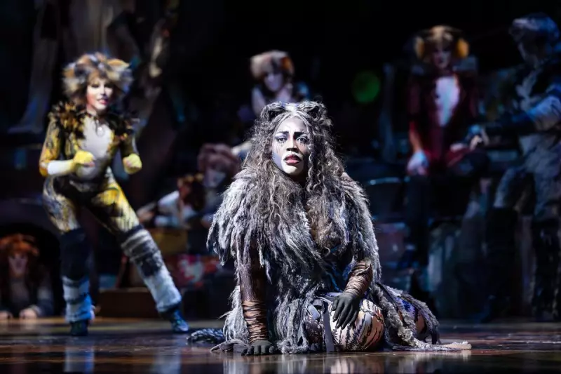 CATS 40th Anniversary Tour Enthrals Perth with Purr-fect Performances