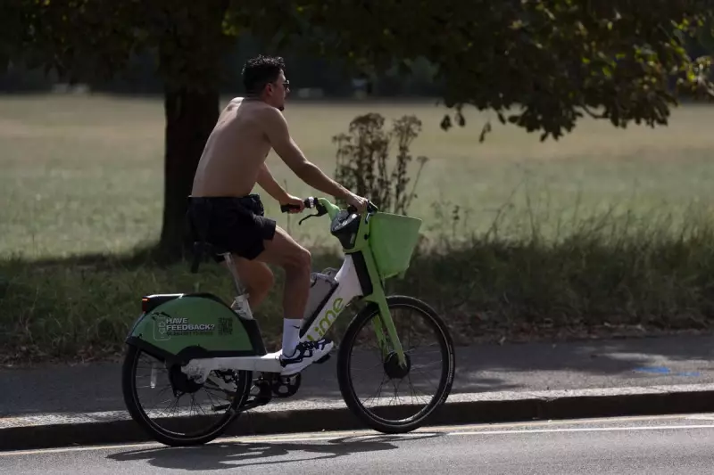E-Bike Rider Arrested After Pedestrian Hit at Bondi Crossing