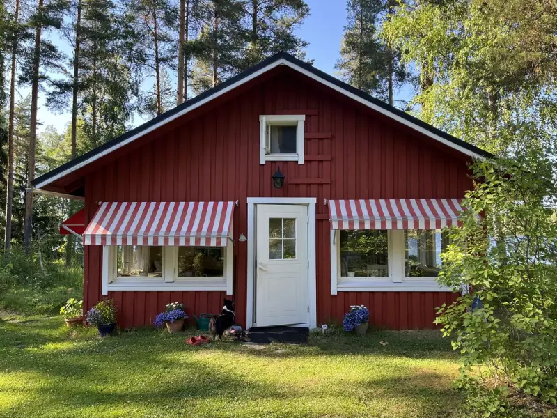 Finland's Happiness Secret Revealed: Nature & Sisu Lead to 8 Years on Top