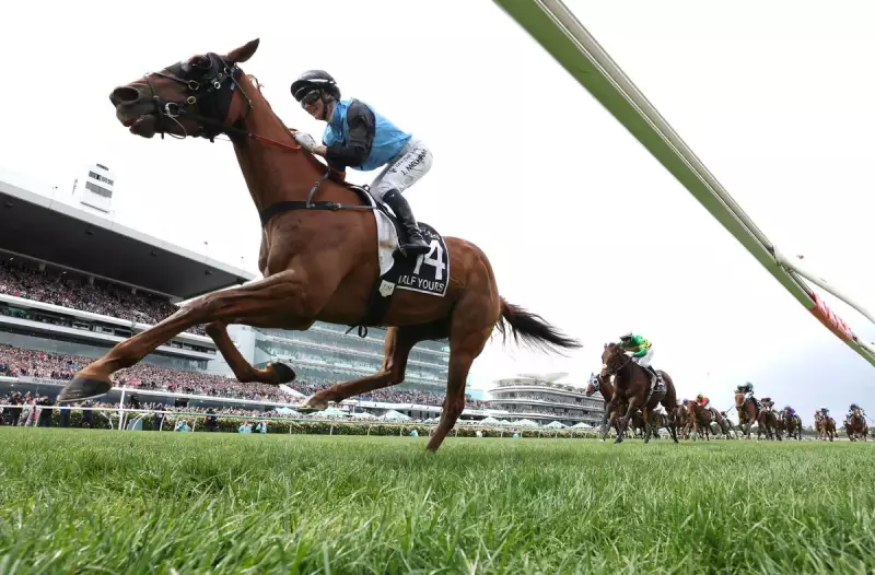 Jamie Melham's Daring Ride: How He Carved Through Impossible Gaps to Claim Melbourne Cup Glory