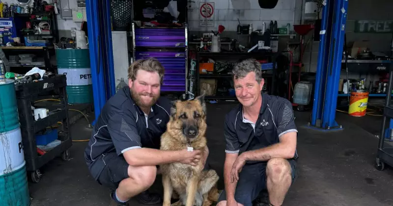 Jamison Automotive: Belconnen's Family-Run Mechanic Named Awards Finalist