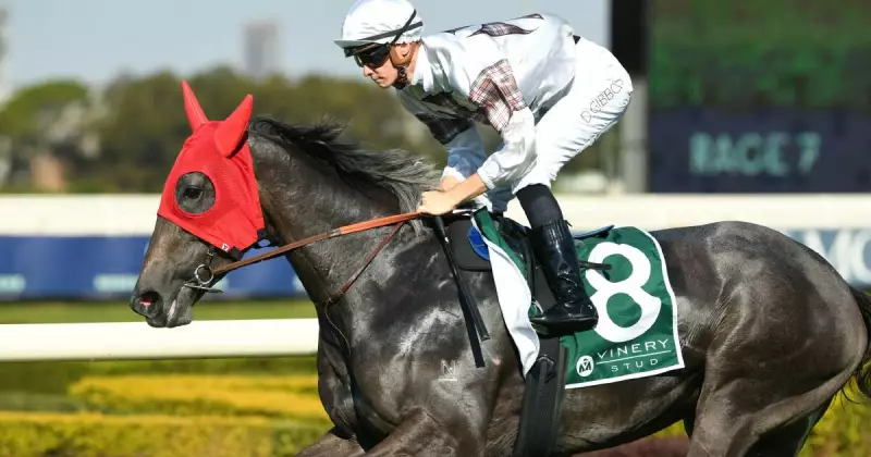 Kembla Grange Trainer's Big Decision: The Gong or The Hunter?