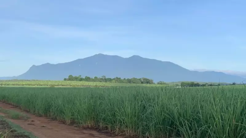 Man dead, woman injured in Bartle Frere shooting-suicide