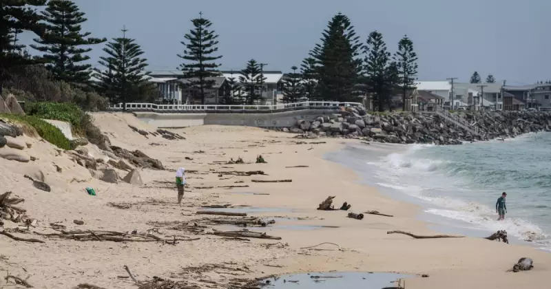 Stockton Beach Rescue: Newcastle's Coastal Defence Plan Finally Approved