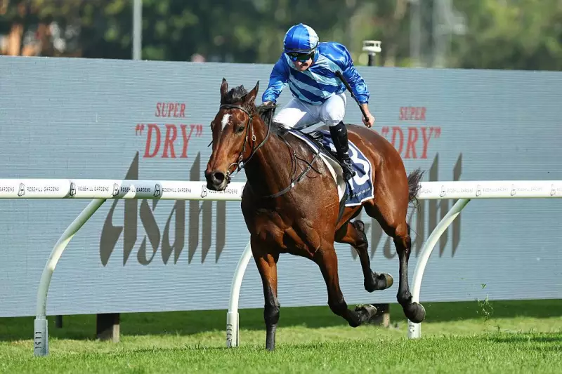 Vivy Air's $1.7m Week: Maher's Mare Wins Five Diamonds After Big Dance