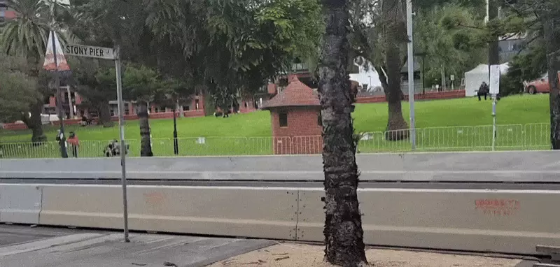 Volunteer Injured at Geelong Motoring Festival After BMW Crash