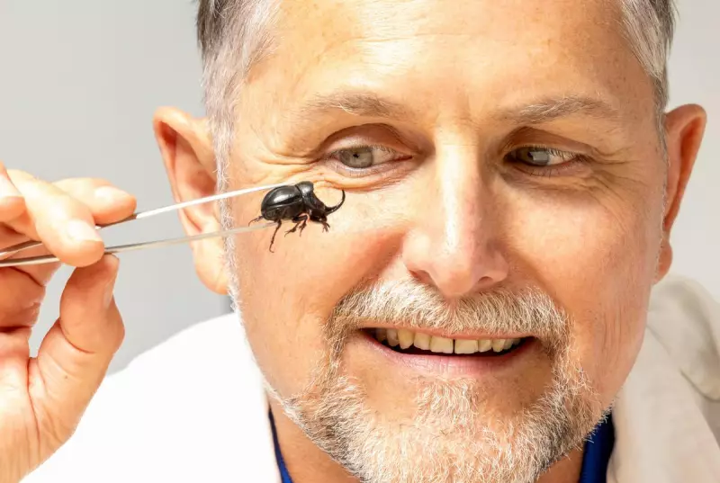 WA's Worst Fly Season in 40 Years: Wet Winter Sparks 'Flymageddon'