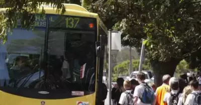Hunter Valley School Bus Services Upgraded After Years of Parent Complaints