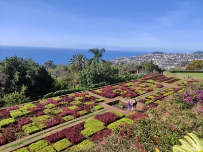Madeira's Thrilling Airport Landing & Lush Botanical Gardens
