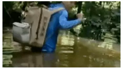 Teen's Lucky Escape After Crocodile Bite Near Cairns Creek