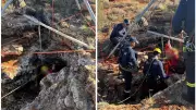 12-Hour Cave Rescue: Woman Survives 8-Metre Fall in Empress Spring