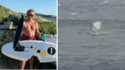 61-Year-Old Surfer Punches Shark in Margaret River Attack