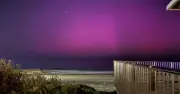 Aurora Australis: How to Boost Your Chances for the Next Southern Lights Display