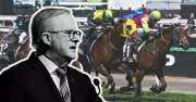 Australia's Gambling Ad Epidemic: The Hidden Mental Health Crisis You Can't Ignore
