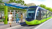 Cardwell to Cairns Light Rail Proposal Gains MP Support