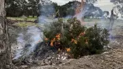 Geelong Demolition Firm Fined $20k for Illegal Dumping and Burning