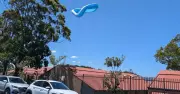 Inflatable Pool Blows onto Powerlines in Newcastle During Windy Conditions