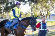 Joker's Grin Gets New Rider After Carbery's Concussion