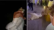 Lexi Lobb's Viral Wedding Tumble: A Hilarious Maldives Moment