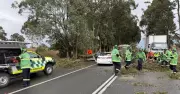 Mother and Baby Survive Terrifying Tree Crash During NSW Storm
