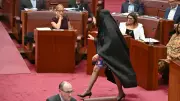 Pauline Hanson's Burqa Stunt Condemned in Senate Session