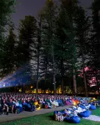 Perth Festival Films 2025: Oscar Contenders & Global Cinema Under the Stars