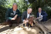 Perth Zoo's $10M Pilbara Habitat: BHP Funds Immersive Learning Space