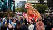 Roam Geelong festival returns in 2027 with $23 million economic boost