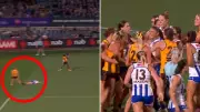 Roos Demolish Hawks in AFLW Final Amidst Controversial Boos at Box Hill City Oval