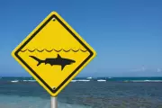 Shark Alert Issued After Whale Carcass Washes Ashore at Mandurah's White Hills Beach