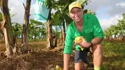 Third-Gen Farmer's Sustainable Banana Farm Leads Carbon Neutral Push
