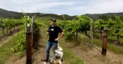 Usher Tinkler's Decade of Disruption in Hunter Valley Winemaking