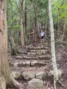 Walking Japan's Sacred Kumano Kodo: An Australian's Pilgrimage
