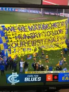West Coast Eagles' AFLW banner battles brutal Melbourne weather in finals debut