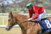 William Pike Chases Fourth Burgess Queen Stakes Victory Aboard Moonwalk