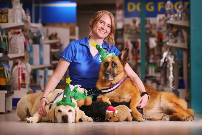 Aussies to Splurge $1 Billion on Pets This Christmas Despite Cost Pressures