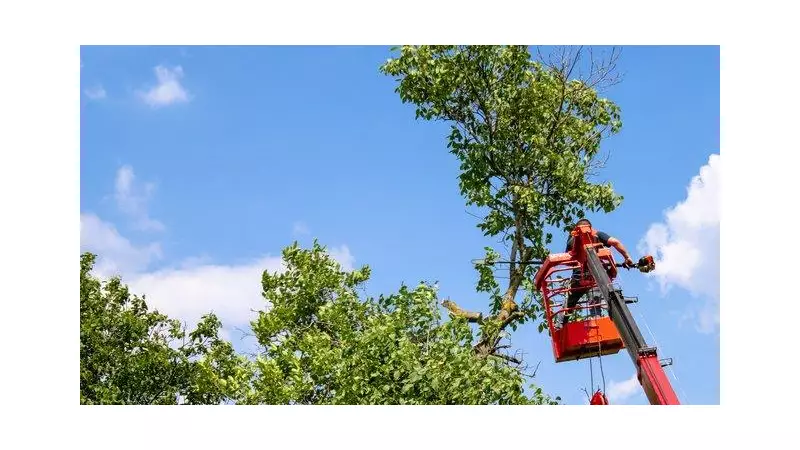Bassendean Court Slaps Landowner with $17,000 Fine for Unauthorised Tree Removal