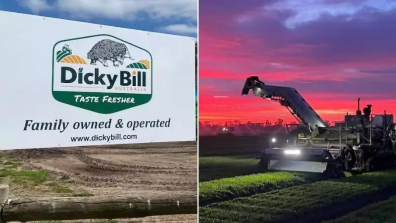 Dicky Bill Australia Collapse: 182 Jobs Lost Weeks Before Christmas