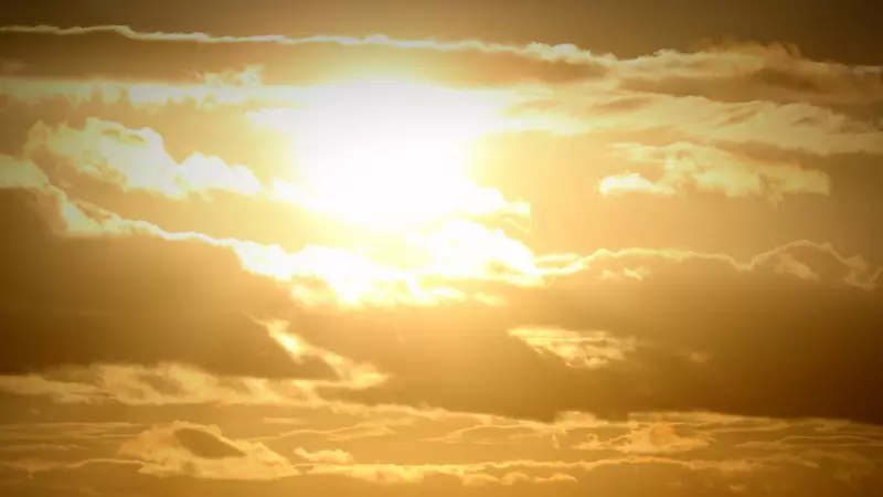 Geelong Weather Today: Sunny, 26C with a Late Afternoon Breeze