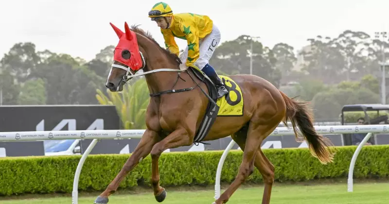 Man Of Worth set for long-awaited return at Warwick Farm