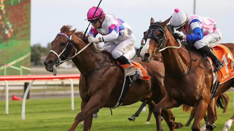 Mayfield-Smith Backs De Forza for Coffs Harbour Bounce-Back After Luckless Runs