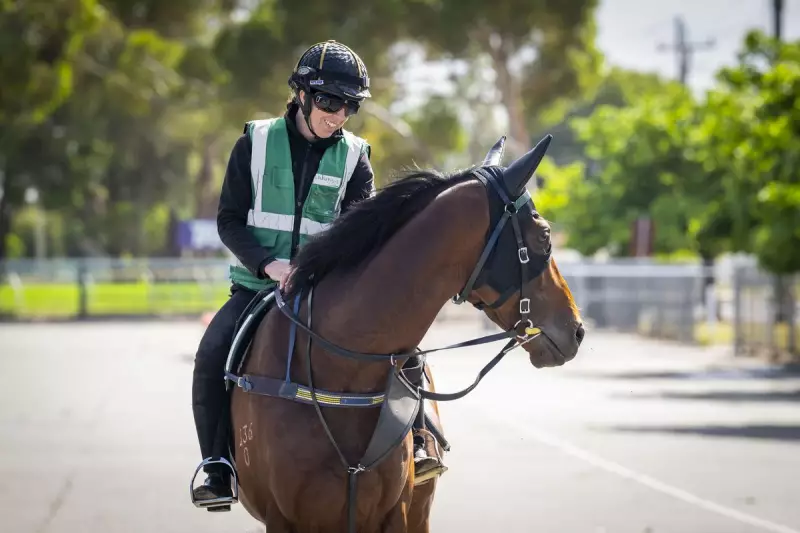 Northerly Stakes 2025 Final Field Locked In: King Of Light Faces Eastern Raiders