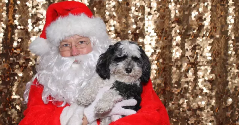 South Canberra Community Markets: Santa Photos, Farm Rides & Festive Fun This Saturday